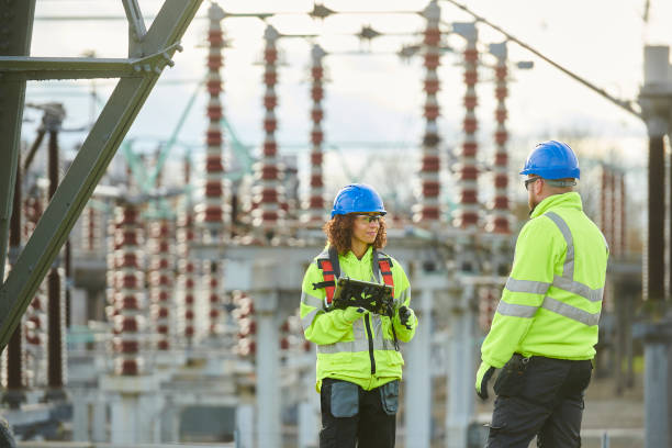 Best Generator Installation Services  in Wayland, MI