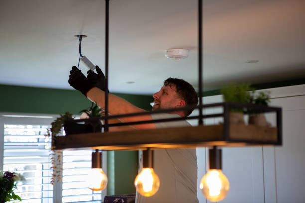 Best Residential Electrician Services  in Wayland, MI