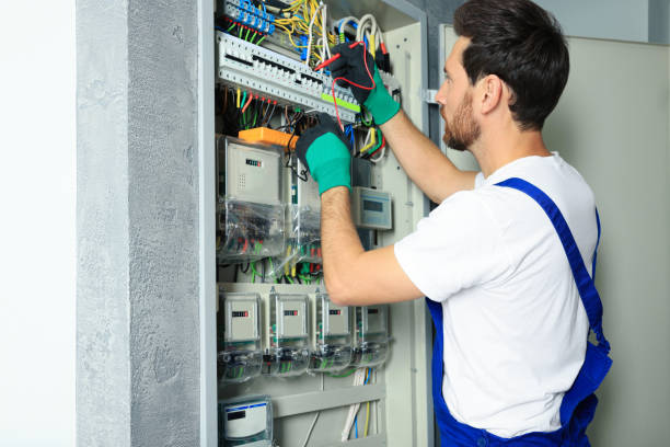 Best Electrician Near Me  in Wayland, MI