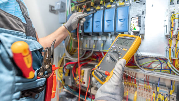 Best Local Electrician Companies  in Wayland, MI