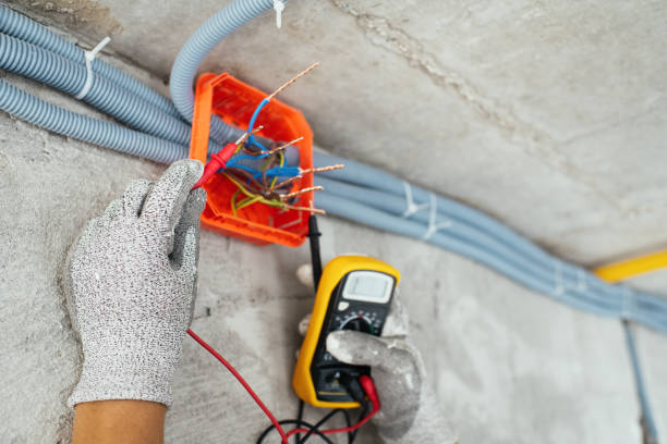 Best Industrial Electrical Services  in Wayland, MI